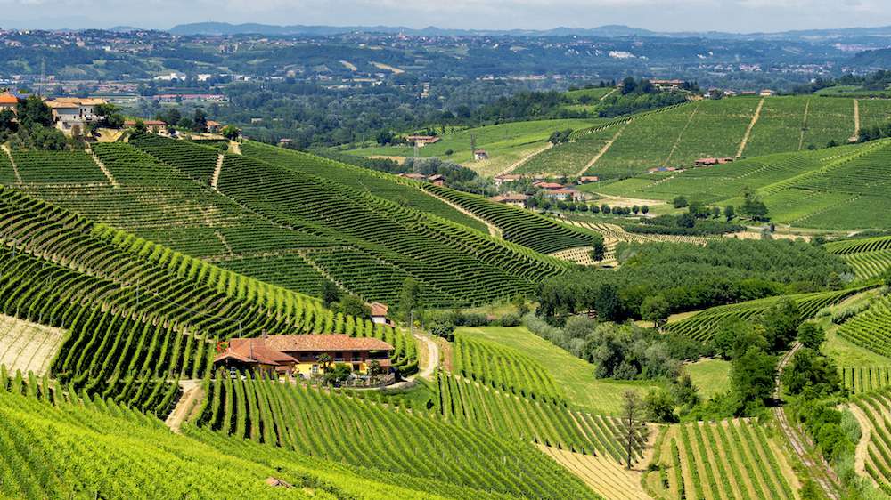 The Barolo war - by Philip Stephenson-Oliver