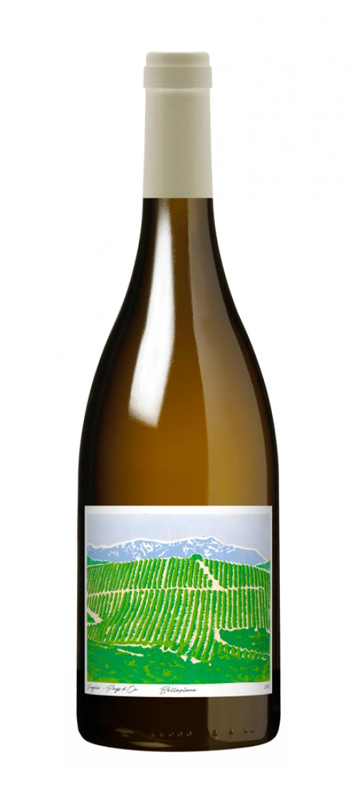 2022 Belleplane Viognier, Languedoc-Roussillon, France