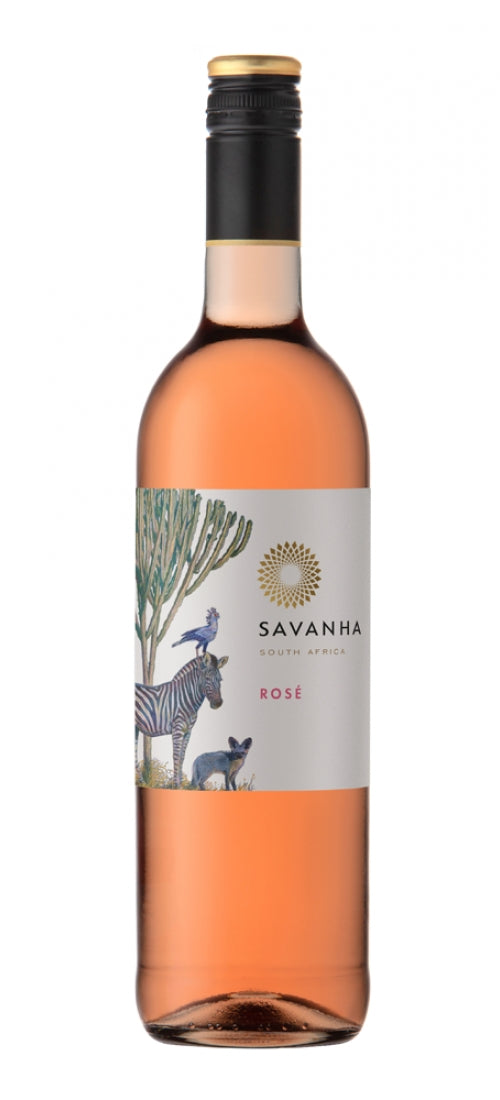 2021 Savanha Rose, Spier, Western Cape, South Africa